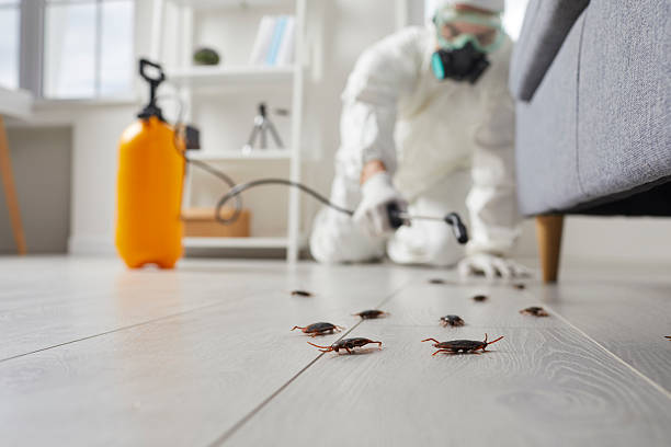 Commercial Kitchen Cockroach Control in Wilber